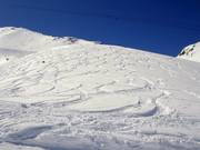 Freeride areas at Gemsstock