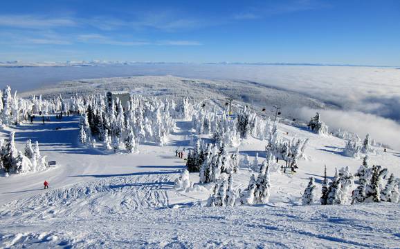 Best ski resort in the Thompson-Nicola Regional District – Test report Sun Peaks