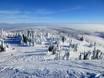 Thompson Okanagan: Test reports from ski resorts – Test report Sun Peaks