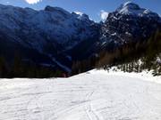 Good grooming on the Zwölferkopf