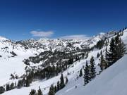 View over the Alta ski area