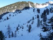 View of the powder slopes in the Balbach valley