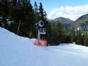 Snow cannon at Cypress Mountain