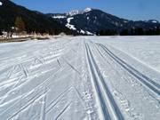 Cross-country ski trails in Balderschwang