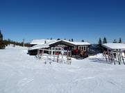 Gastronomy tip Skihytta Trysil