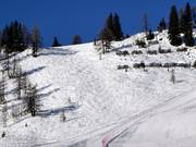 Freeride Area Kogelalm