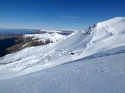 Difficult slope Platter Splatter