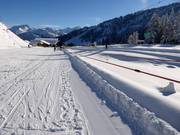 Kindergartenlift Marend - Rope tow/baby lift with low rope tow
