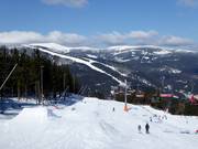 View from Hromovka to Medvědín