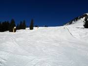 Neuhögen descent in Westendorf