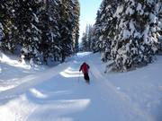 Easy Sattel ski route