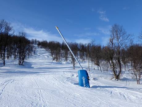 Snow reliability Jämtland – Snow reliability Tänndalen