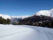 Easy Goldsee piste