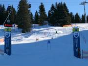 Adler7 Station Söllereck: Eagle Eye Run - slalom course