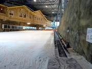 Lower section of the beginner slope