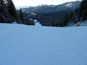 Groomed slope in Jasná