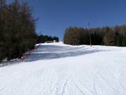 Valley run/family run