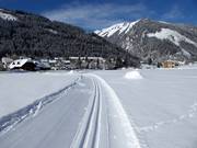 Trail in Donnersbachwald