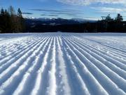 Groomed slope in Folgaria-Fiorentini