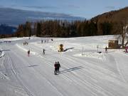 Trails in the Viote Cross-Country Skiing Center