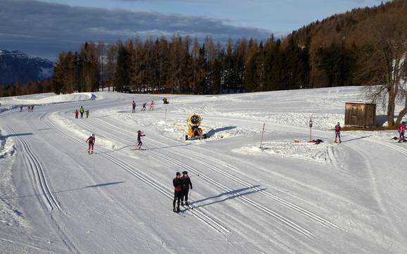 Cross-country skiing Trento/Monte Bondone/Valle di Laghi/Valle dell´Adige – Cross-country skiing Monte Bondone