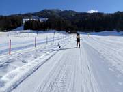 Sammer - Rope tow/baby lift with low rope tow