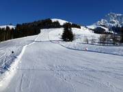 Sauregg run, FIS course