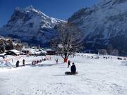 Practice area bodmiARENA