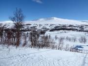 View of Storkittelhobben, the highest point in the Hemavan ski area