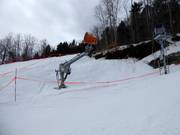 Snow cannon in the ski resort of Le Massif de Charlevoix
