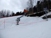 Snow cannon in the Le Massif de Charlevoix ski area