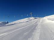 Riedkopf "Direkte" descent