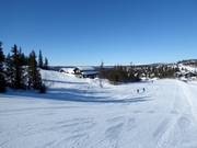 Easy slope Bruløypa