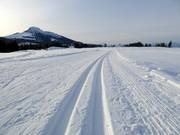 Cross-country trail at Passo Lavazè with a view of Weißhorn