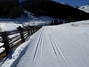 Cross-country trails in the Nordic Ski Center Schlinig