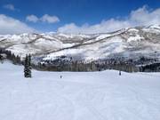 Very good slope grooming