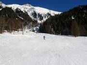 Easy slope near the valley