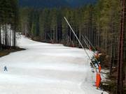Snow guns line the slopes