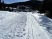 Cross-country skiing Val di Fassa (Fassa Valley/Fassatal) – Cross-country skiing Carezza