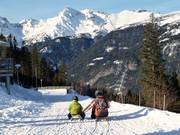 Tip for children  - Toboggan run