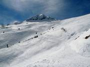 Endless powder slopes