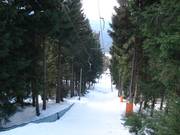 Lift track of the Dreisessel ski lift