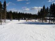 Beginner slope Nybegynnerbakken