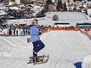Toboggan slope at the Dorfwiese
