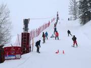 Rip Cord - Rope tow/baby lift with low rope tow