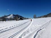 Perfectly groomed cross-country trail in Ramsau am Dachstein