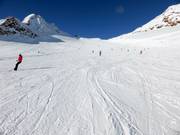 Easy slope No. 38 Tiefenbachferner