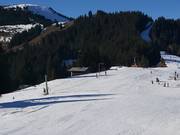 Verbindungslift Markbachjoch (Telecord) - Rope tow/baby lift with low rope tow