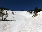 Ski route in the Freeride Area