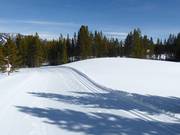 Trail in Big Sky Resort